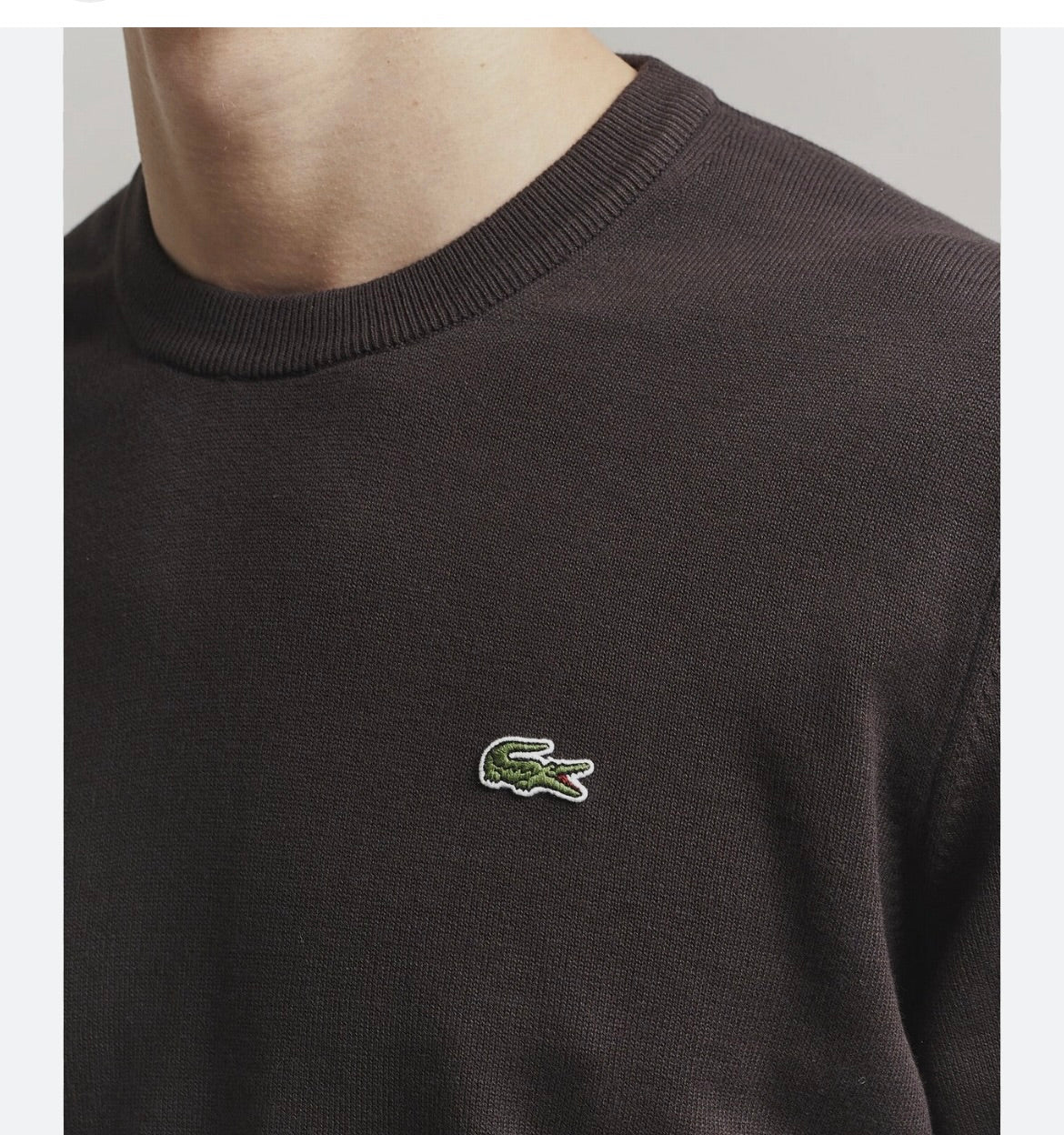 Maglione Lacoste AH0128 in Cotone - Marrone