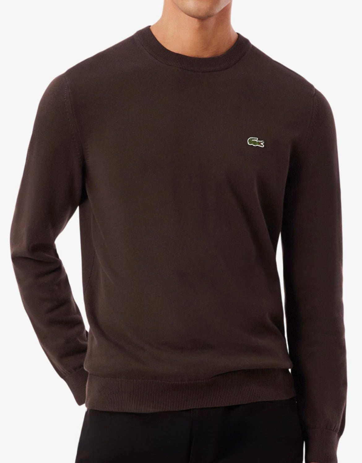 Maglione Lacoste AH0128 in Cotone - Marrone